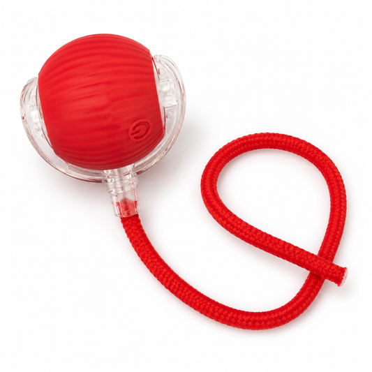 Fold Paws Rechargeable Interactive Cat Rolling Ball Toy - Type-C Smart Motion Ball