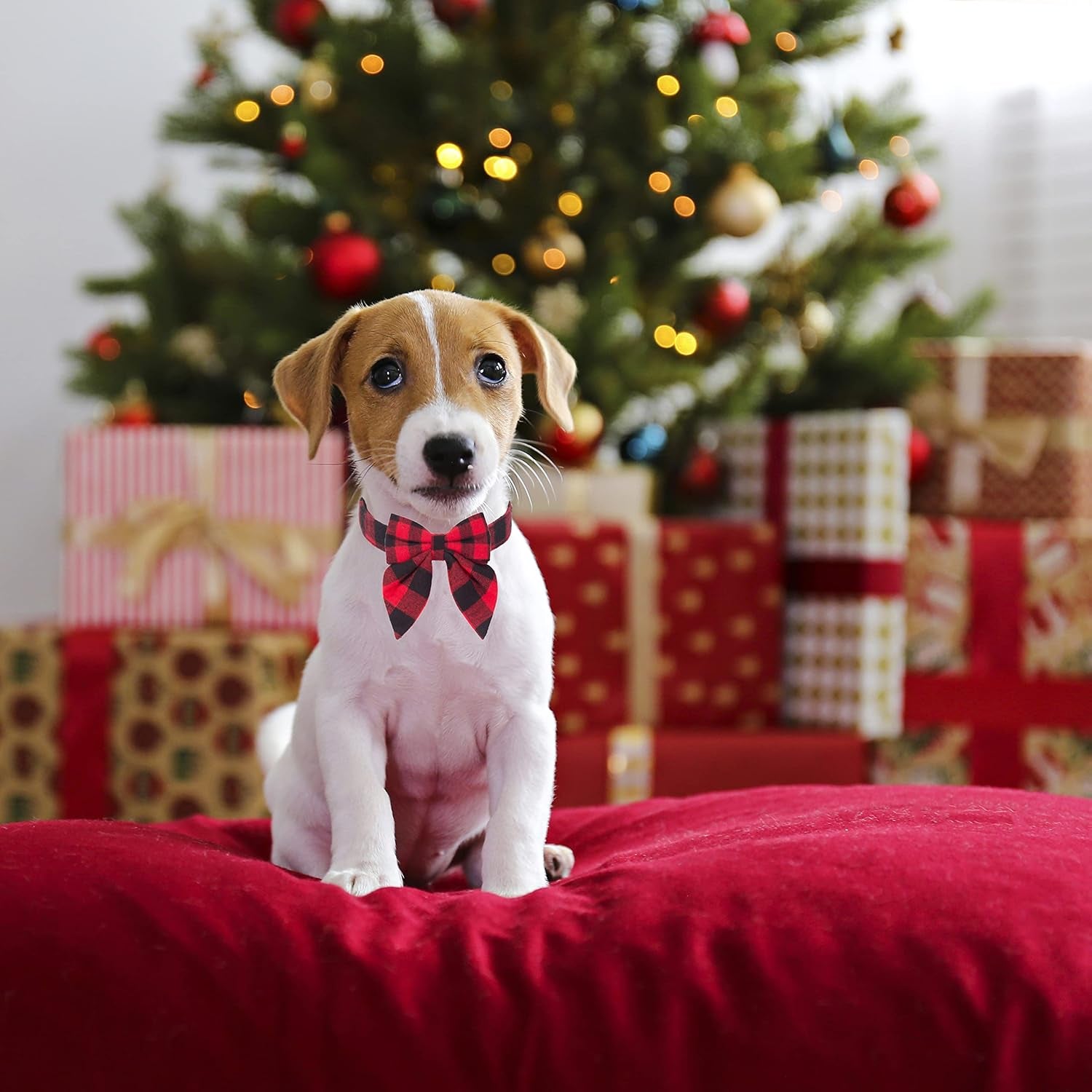 ADOGGYGO Christmas Dog Collar with Bow, Adjustable Red Plaid Bowtie Collar for Large Dogs, Festive Pet Accessory