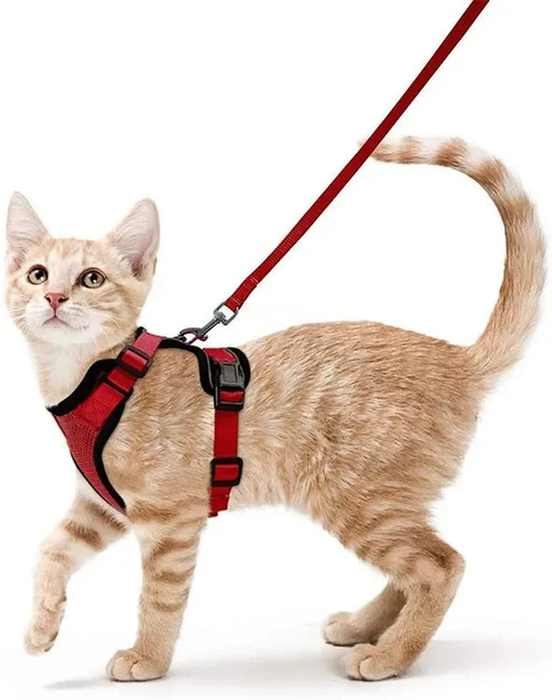 Cat Harness and Leash. Breathable Reflective Strips Jacket