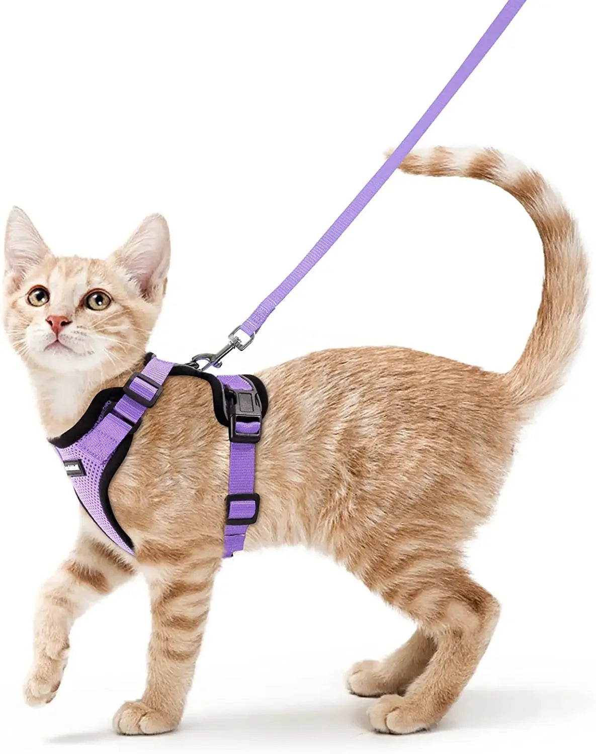 Cat Harness and Leash. Breathable Reflective Strips Jacket