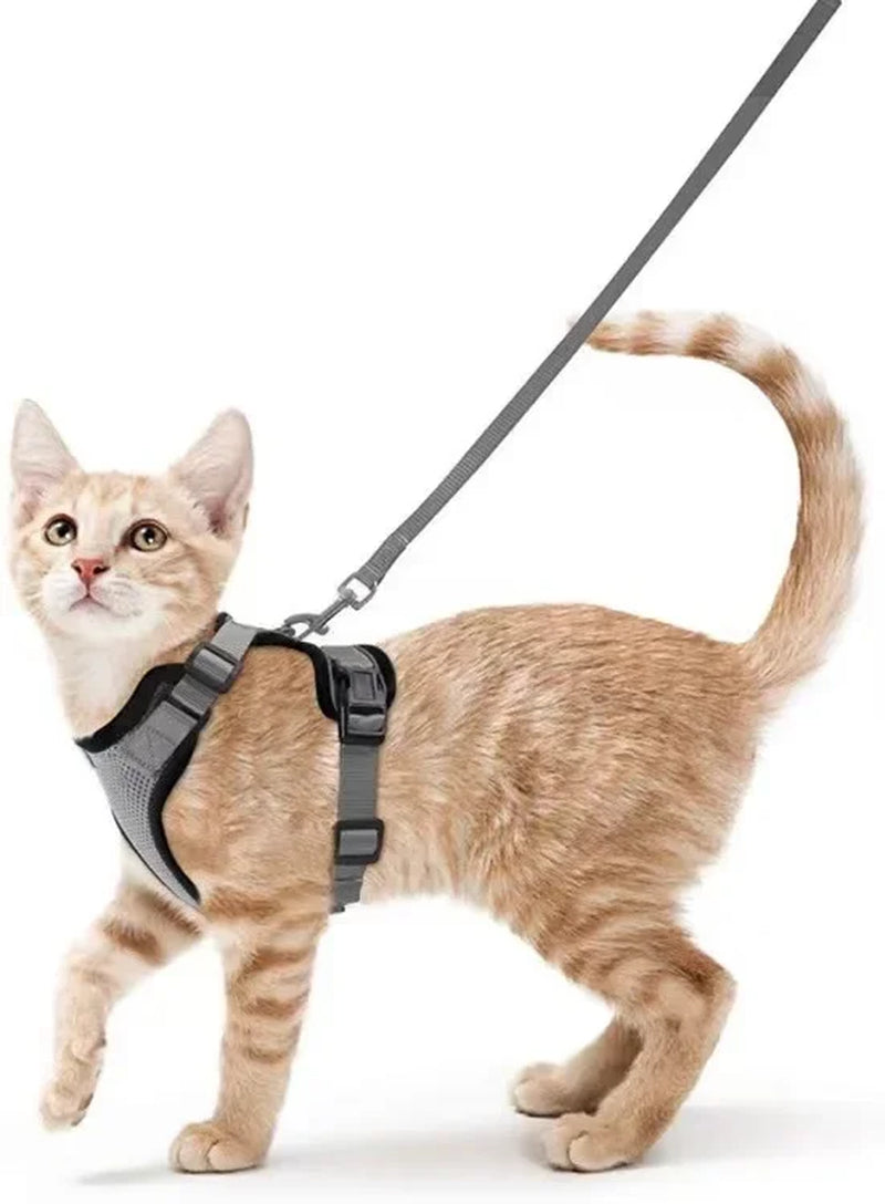 Cat Harness and Leash. Breathable Reflective Strips Jacket