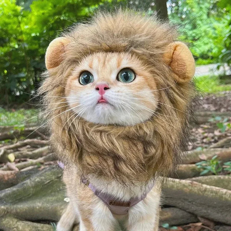 Cat Lion Wigs, Funny Costumes, Puppy Halloween Role-Playing Costumes, Cute Pet Hats, Puppy Party Accessories