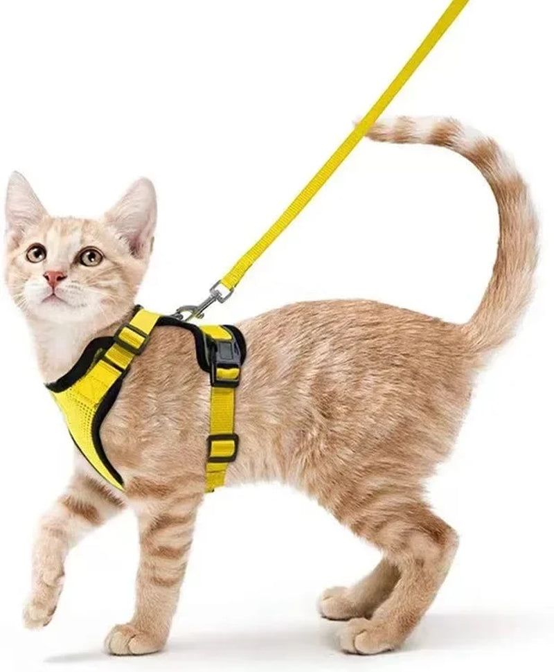 Cat Harness and Leash. Breathable Reflective Strips Jacket