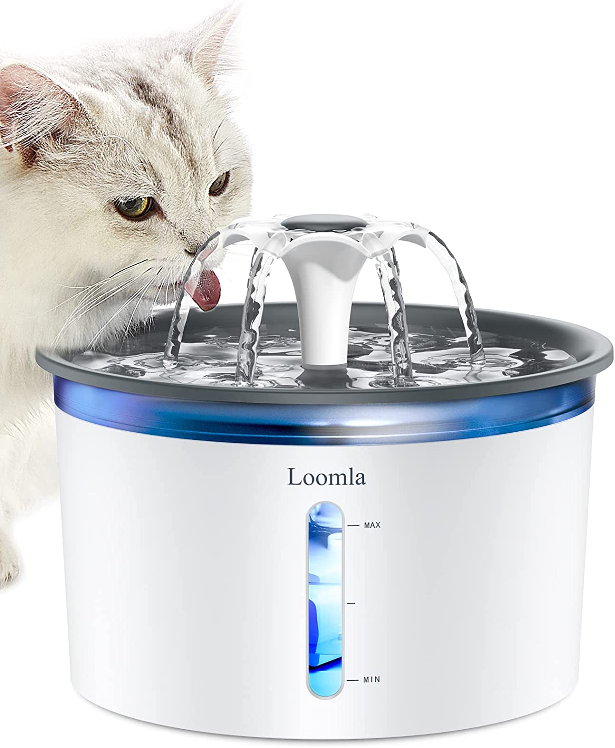 Loomla Cat Water Fountain, 85Oz/2.5L Pet Water Fountain Indoor, Automatic Dog Water Dispenser with Switchable LED Lights, 2 Replacement Filters for Cats, Dogs, Pets (Dark Gray)