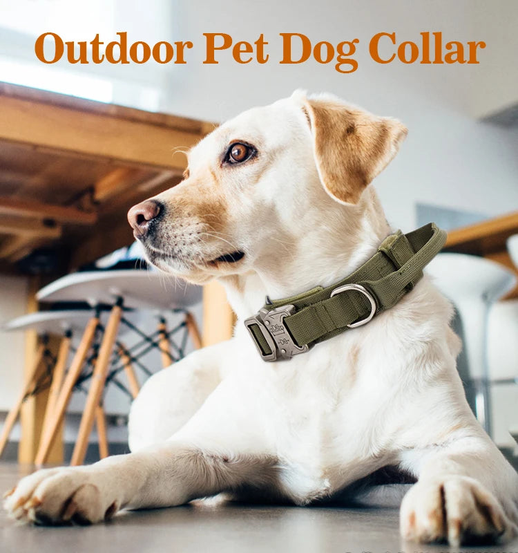 Tactical Dog Collar & Leash Set – Heavy-Duty Metal Buckle Training Gear for Large Dogs - Fold Paws