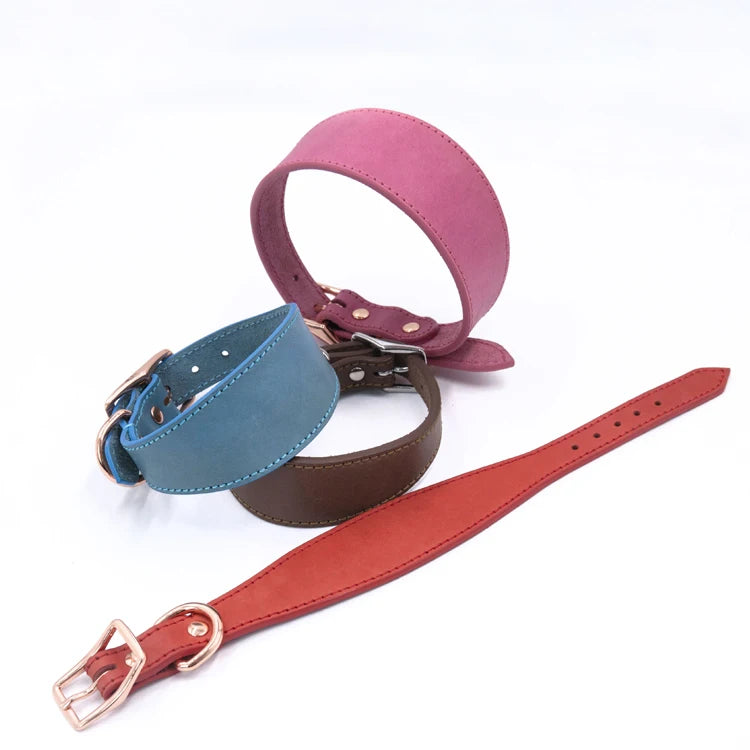 Luxury Genuine Leather Dog Collar – Extra Wide Tapered Design for Greyhound & Whippet with Buckle Closure - Fold Paws