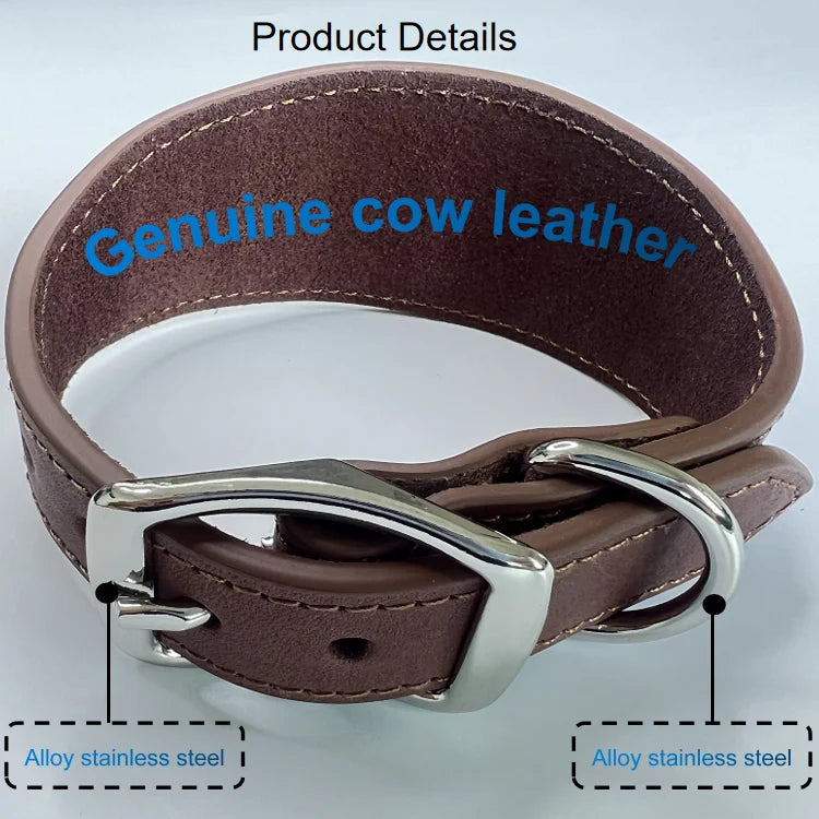 Luxury Genuine Leather Dog Collar – Extra Wide Tapered Design for Greyhound & Whippet with Buckle Closure - Fold Paws