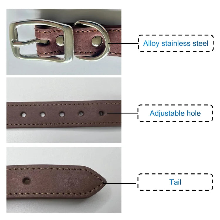 Luxury Genuine Leather Dog Collar – Extra Wide Tapered Design for Greyhound & Whippet with Buckle Closure - Fold Paws