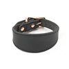 Luxury Genuine Leather Dog Collar – Extra Wide Tapered Design for Greyhound & Whippet with Buckle Closure - Fold Paws
