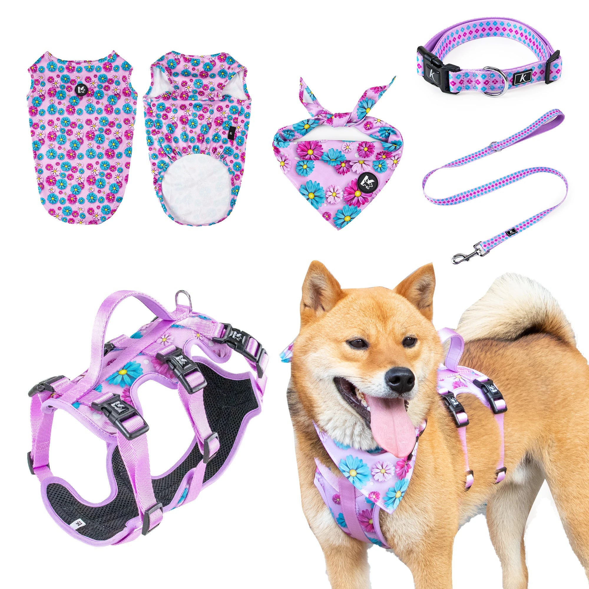 Dog Vest & Leash Set – Morning Sun Collar with Bandana for Stylish Pet Walking - Fold Paws