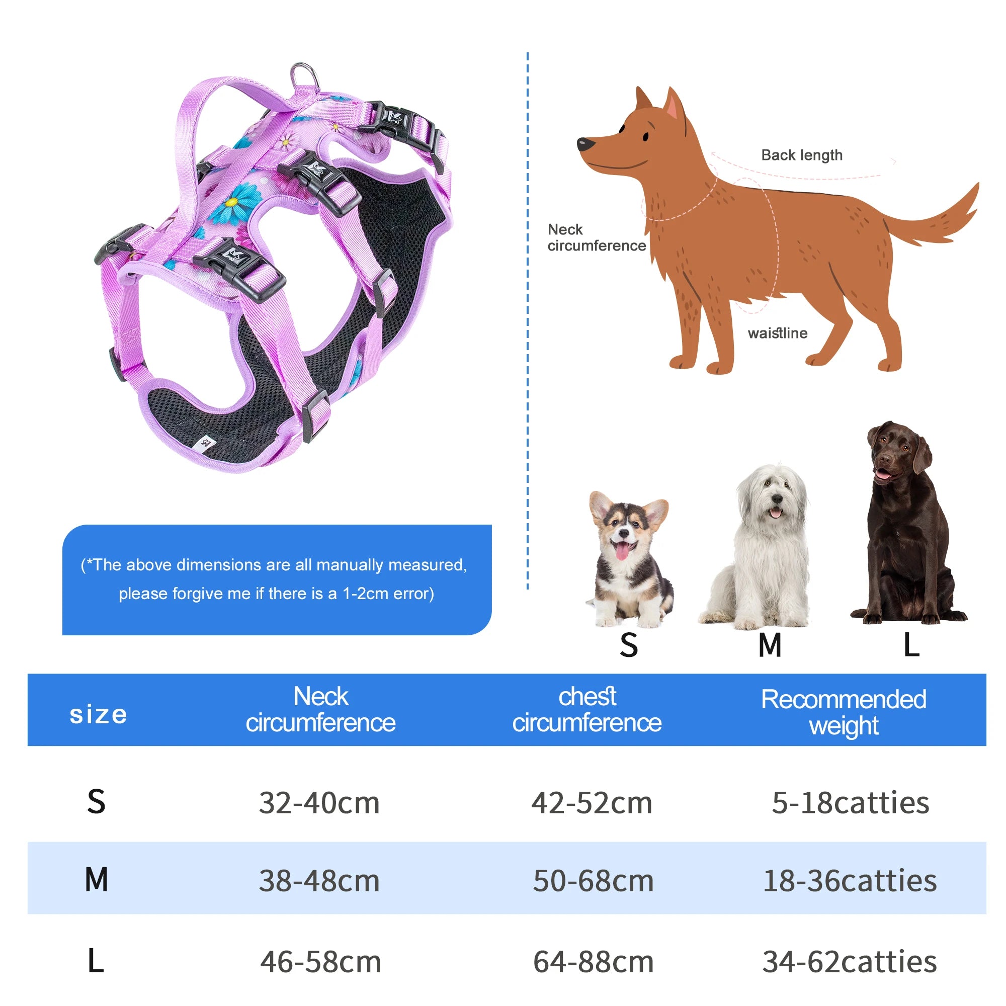 Dog Vest & Leash Set – Morning Sun Collar with Bandana for Stylish Pet Walking - Fold Paws