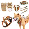 Dog Vest & Leash Set – Morning Sun Collar with Bandana for Stylish Pet Walking - Fold Paws