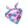 Dog Vest & Leash Set – Morning Sun Collar with Bandana for Stylish Pet Walking - Fold Paws