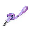 Dog Vest & Leash Set – Morning Sun Collar with Bandana for Stylish Pet Walking - Fold Paws