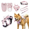 Dog Vest & Leash Set – Morning Sun Collar with Bandana for Stylish Pet Walking - Fold Paws