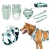 Dog Vest & Leash Set – Morning Sun Collar with Bandana for Stylish Pet Walking - Fold Paws