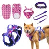 Dog Vest & Leash Set – Morning Sun Collar with Bandana for Stylish Pet Walking - Fold Paws