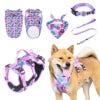 Dog Vest & Leash Set – Morning Sun Collar with Bandana for Stylish Pet Walking - Fold Paws