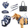 Dog Vest & Leash Set – Morning Sun Collar with Bandana for Stylish Pet Walking - Fold Paws