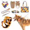 Dog Vest & Leash Set – Morning Sun Collar with Bandana for Stylish Pet Walking - Fold Paws