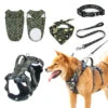 Dog Vest & Leash Set – Morning Sun Collar with Bandana for Stylish Pet Walking - Fold Paws