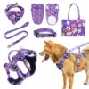 Dog Vest & Leash Set – Morning Sun Collar with Bandana for Stylish Pet Walking - Fold Paws