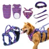Dog Vest & Leash Set – Morning Sun Collar with Bandana for Stylish Pet Walking - Fold Paws