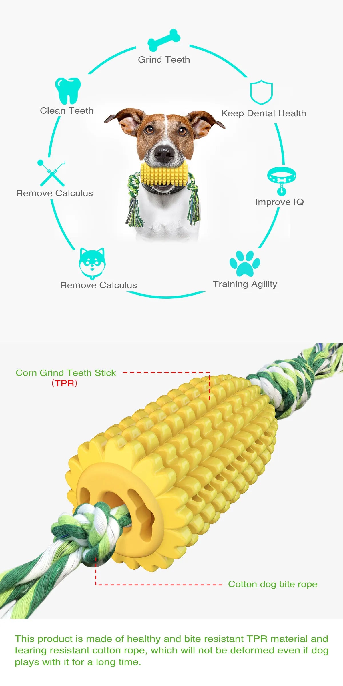 Corn Molar Dog Chew Toy – Bite-Resistant Toothbrush Stick with Rope for Aggressive Chewers - Fold Paws