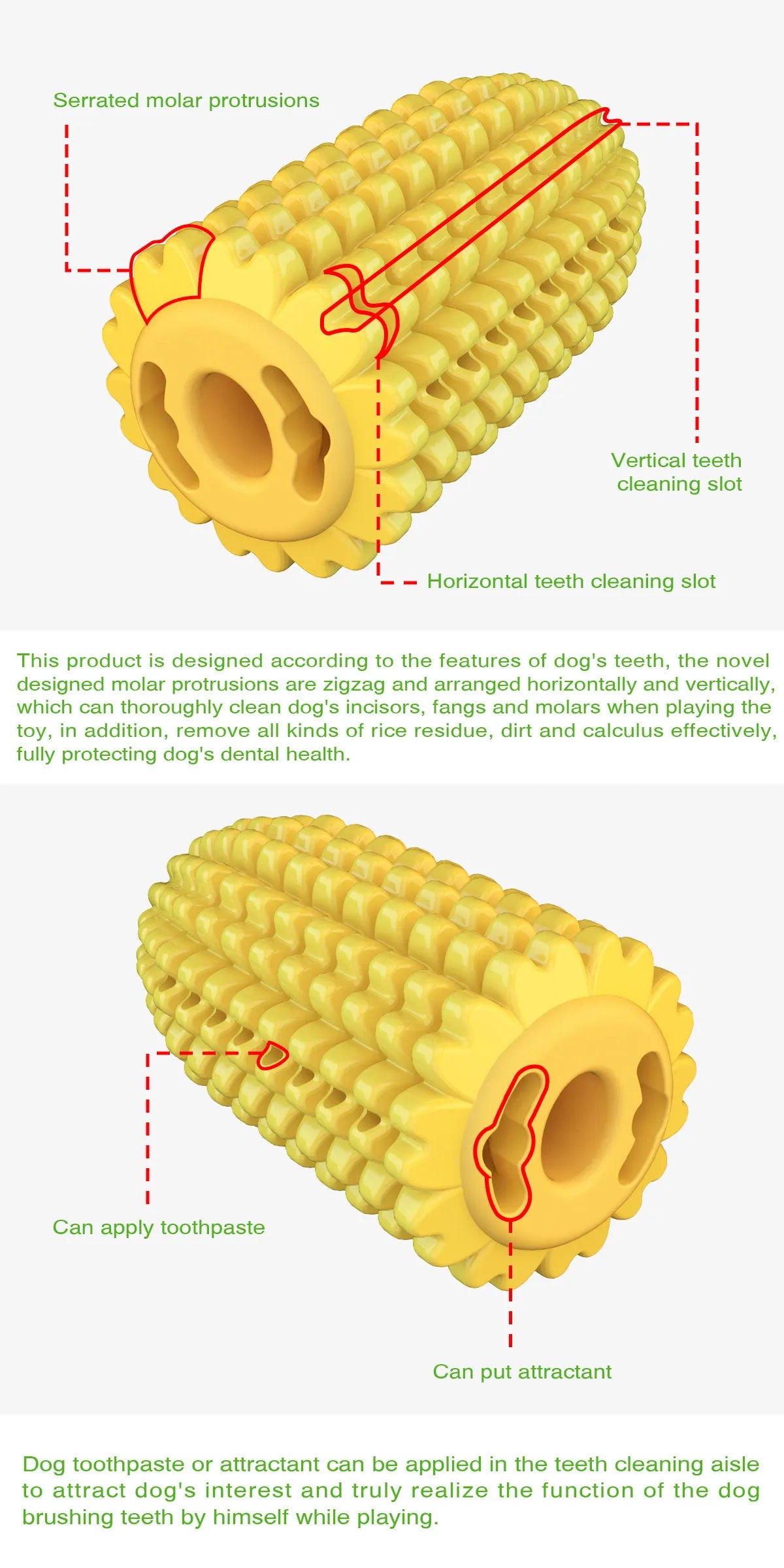 Corn Molar Dog Chew Toy – Bite-Resistant Toothbrush Stick with Rope for Aggressive Chewers - Fold Paws