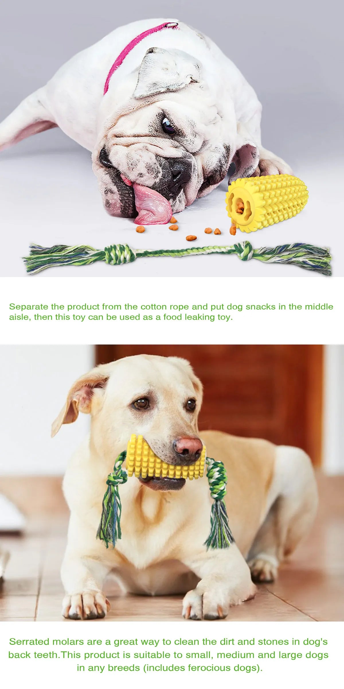 Corn Molar Dog Chew Toy – Bite-Resistant Toothbrush Stick with Rope for Aggressive Chewers - Fold Paws