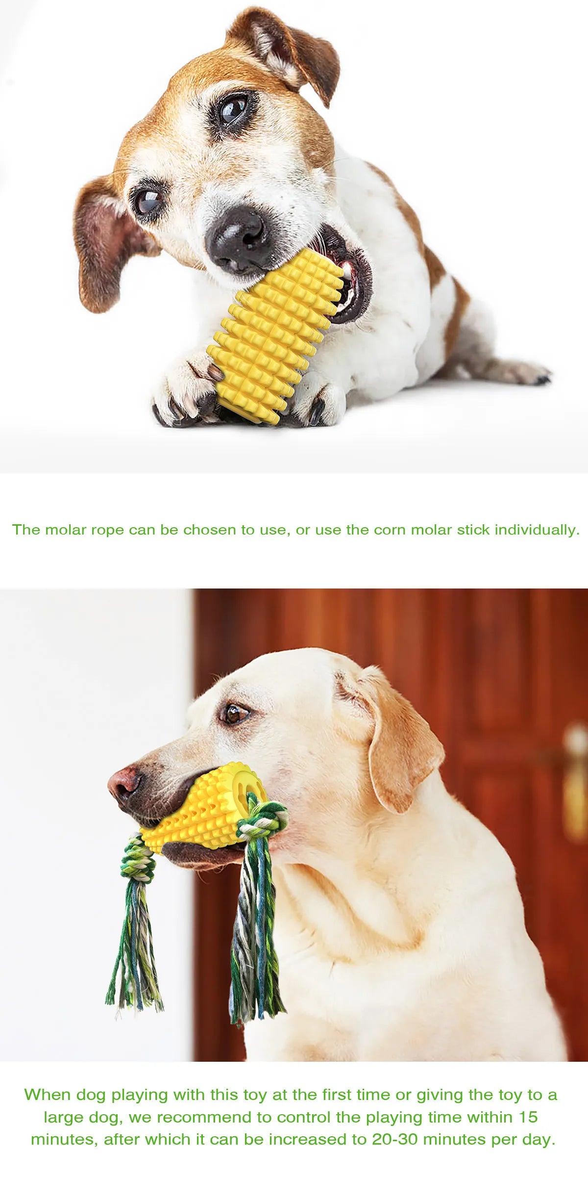 Corn Molar Dog Chew Toy – Bite-Resistant Toothbrush Stick with Rope for Aggressive Chewers - Fold Paws