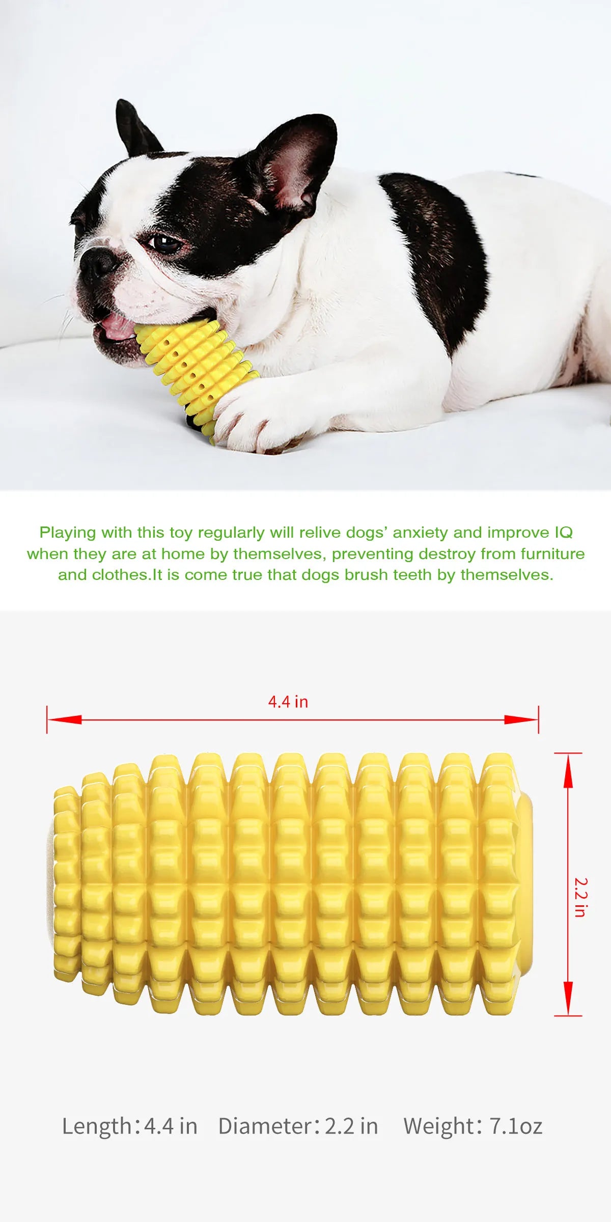 Corn Molar Dog Chew Toy – Bite-Resistant Toothbrush Stick with Rope for Aggressive Chewers - Fold Paws