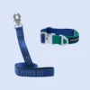 Pepper Pet Tactical Dog Collar & Leash Set – Two-Tone Luxury with Aerospace-Grade Aluminum Swivel Frog Buckle - Fold Paws