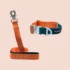 Pepper Pet Tactical Dog Collar & Leash Set – Two-Tone Luxury with Aerospace-Grade Aluminum Swivel Frog Buckle - Fold Paws