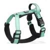 Adjustable No-Pull Dog Harness with Handle & Breathable Mesh Padding – Complete Pet Leash Set on Sale - Fold Paws