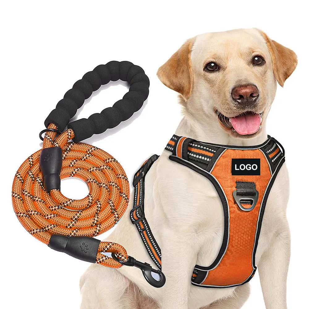 Reflective Neoprene Dog Harness & Leash Set – Adjustable No-Pull Luxury Pet Vest with Custom Name Tag - Fold Paws