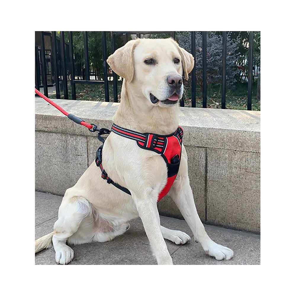 Reflective Neoprene Dog Harness & Leash Set – Adjustable No-Pull Luxury Pet Vest with Custom Name Tag - Fold Paws