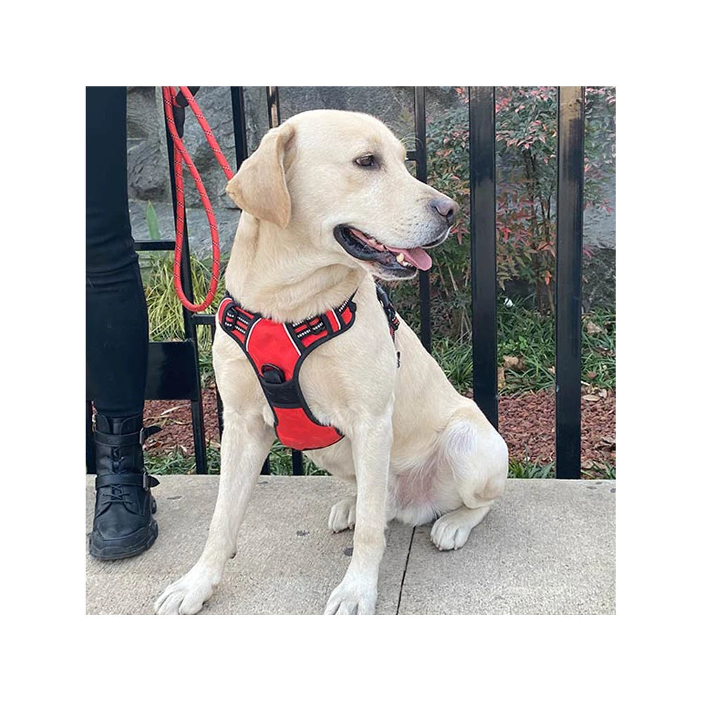Reflective Neoprene Dog Harness & Leash Set – Adjustable No-Pull Luxury Pet Vest with Custom Name Tag - Fold Paws