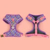 Designer Dog Harness & Leash Set – Adjustable Stylish Pet Walking Gear for Small & Medium Dogs - Fold Paws