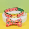 Designer Dog Harness & Leash Set – Adjustable Stylish Pet Walking Gear for Small & Medium Dogs - Fold Paws