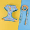 Designer Dog Harness & Leash Set – Adjustable Stylish Pet Walking Gear for Small & Medium Dogs - Fold Paws