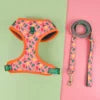 Designer Dog Harness & Leash Set – Adjustable Stylish Pet Walking Gear for Small & Medium Dogs - Fold Paws