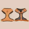 Designer Dog Harness & Leash Set – Adjustable Stylish Pet Walking Gear for Small & Medium Dogs - Fold Paws