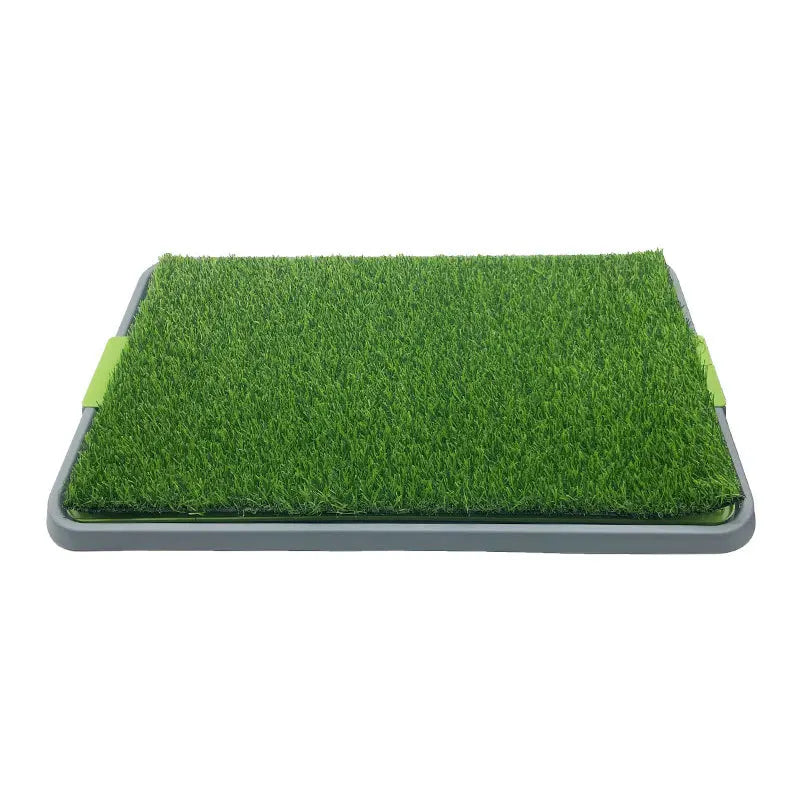 X-Large Dog Grass Potty Pad Tray – 35-Inch Eco-Friendly Indoor Pet Toilet for Training & Hygiene - Fold Paws
