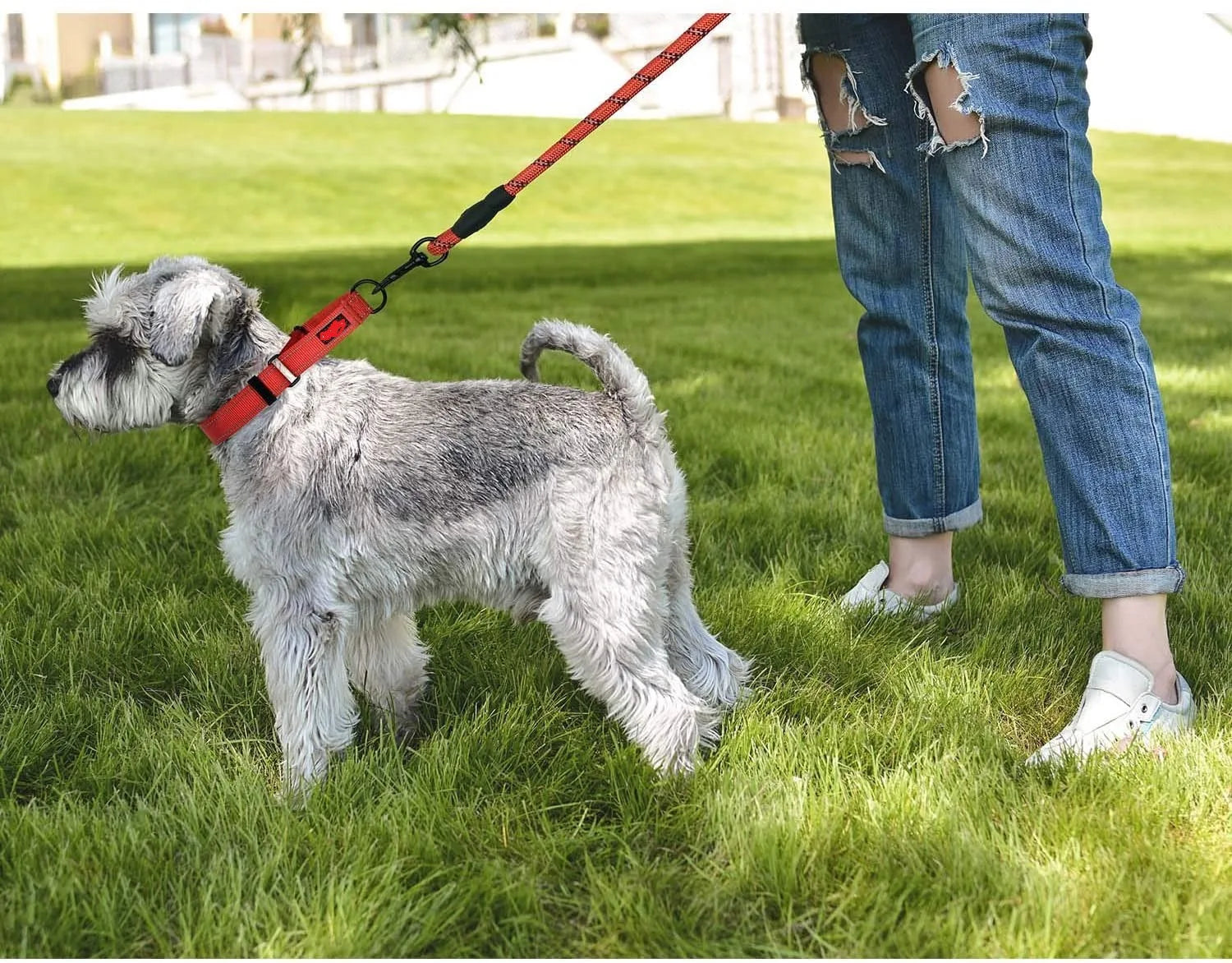 Reflective Dog Collar – Adjustable Soft Neoprene Padded Nylon Pet Collar for All Dog Sizes - Fold Paws