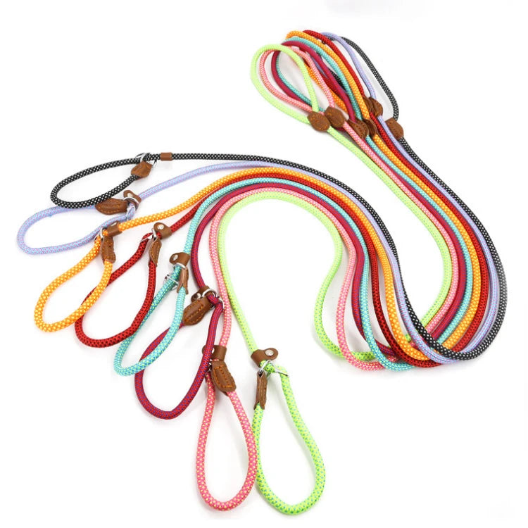 Nylon Slip Rope Dog Leash with Spring – Adjustable Heavy-Duty Training Lead for Small to Large Dogs - Fold Paws