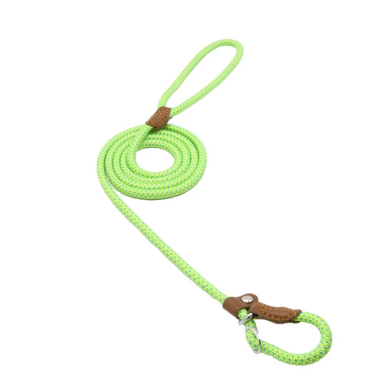 Nylon Slip Rope Dog Leash with Spring – Adjustable Heavy-Duty Training Lead for Small to Large Dogs - Fold Paws