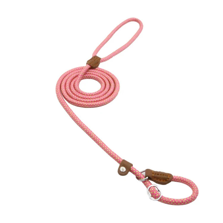 Nylon Slip Rope Dog Leash with Spring – Adjustable Heavy-Duty Training Lead for Small to Large Dogs - Fold Paws