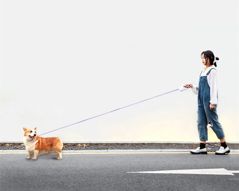 Custom Retractable Dog Leash with LED Flashlight – Large Jogging Pet Lead for Outdoor Training & Walking - Fold Paws