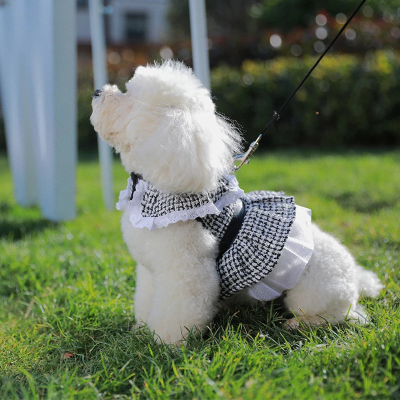 Luxury Shirt Dress Pets Outfits Leash Clothes Small Dog Party Skirt Puppy Sublimation Custom Dog Harness Design Dog Summer - Fold Paws